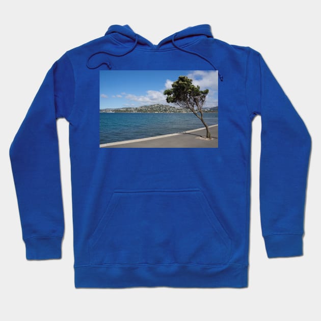 Miramar waterfront. Hoodie by sma1050